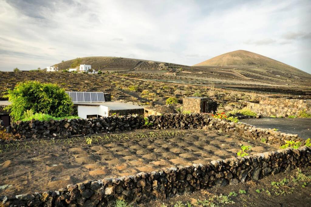 Los Frailes Eco Finca B 蒂纳霍 外观 照片